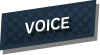 voice